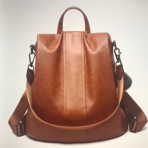Anti Theft Brown Back/Shoulder Bag